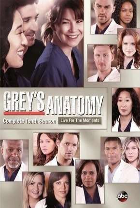 Greys Anatomy - 10ª Temporada - Completa Baixar o Torrent