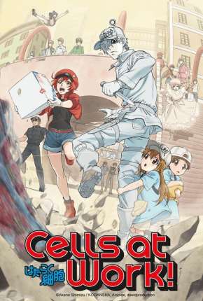 Hataraku Saibou - Cells at Work Baixar o Torrent