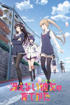 Saenai Heroine no Sodatekata - Legendado Baixar o Torrent