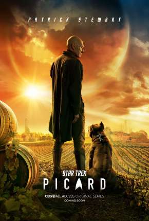 Star Trek - Picard - 1ª Temporada Baixar o Torrent