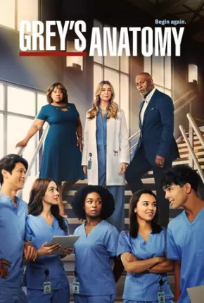 Greys Anatomy - 19ª Temporada Baixar o Torrent