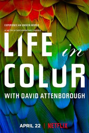 A Vida em Cores com David Attenborough - 1ª Temporada Completa Baixar o Torrent