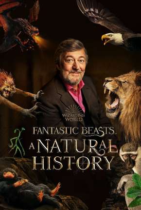 Animais Fantásticos - Uma História Natural Baixar o Torrent