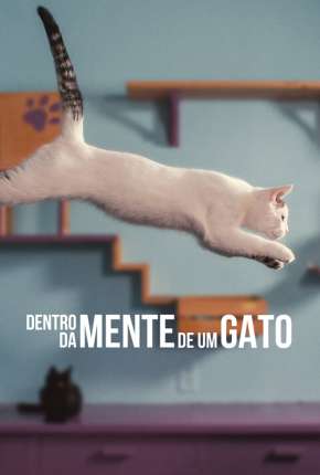 Dentro da Mente de um Gato - Legendado Baixar o Torrent