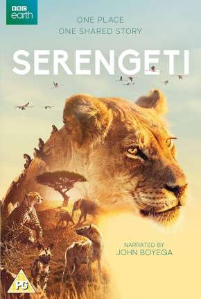 Serengeti - 2ª Temporada Completa Legendada Baixar o Torrent