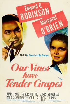 O Roseiral da Vida / Our Vines Have Tender Grapes Baixar o Torrent