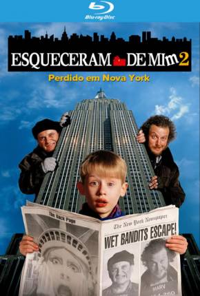 Esqueceram de Mim 2 - Perdido em Nova York BluRay Baixar o Torrent