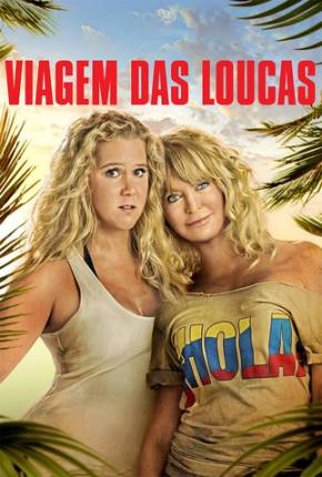 Viagem das Loucas / Snatched Baixar o Torrent