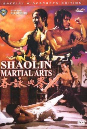 As Artes Marciais de Shaolin / Hong quan yu yong chun Baixar o Torrent