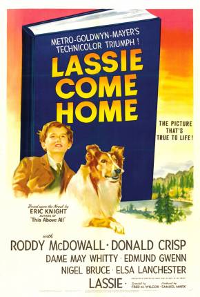 Lassie - A Força do Coração Baixar o Torrent