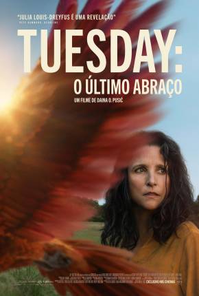 Tuesday - O Último Abraço - CAM - Legendado e Dublado Não Oficial Baixar o Torrent